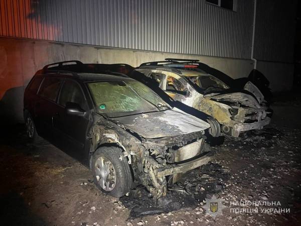 Запорізький студент влаштував серію підпалів автомобілів 8