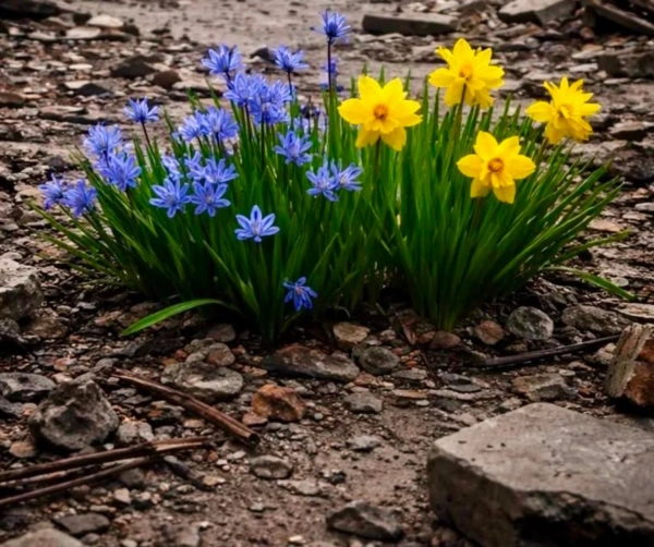 Софія Ротару зворушила постом на 4-ті роковини великого вторгнення в Україну