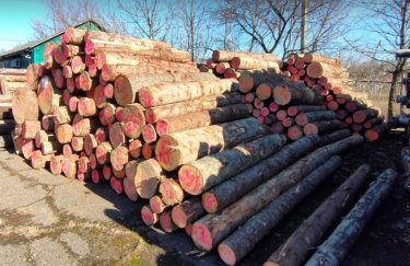 Загальний обсяг контрабандних лісоматеріалів становив 33 куб. м. / БЕБ ліс