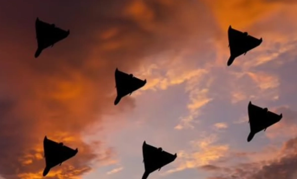 Зеленський готовий направити експертів зі знищення іранських безпілотників в обмін на перемир'я - ЗМІ