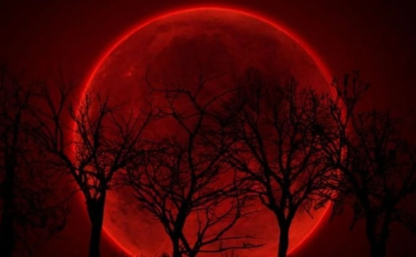 "Кривавий Місяць" запалить небо: перша космічна подія 2026 року вже близько 5