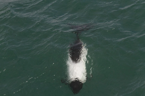 31-ша Українська антарктична експедиція успішно дісталася станції "Академік Вернадський" 48