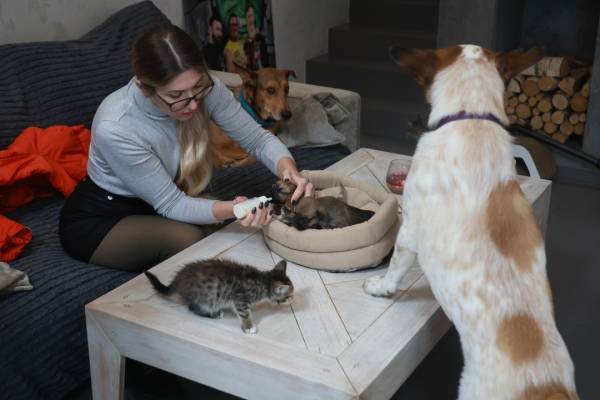 Миколаївська силачка рятує чотирилапих: дивовижна історія незламної жінки 14 Миколаївська силачка рятує чотирилапих: дивовижна історія незламної жінки 14