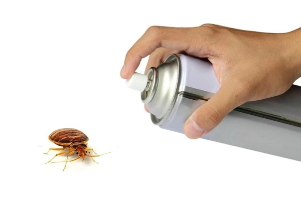 Винищте клопів: перевірені методи та дієві засоби 4