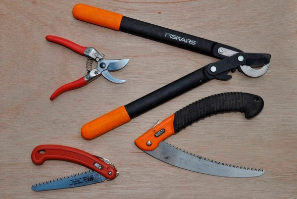 Ефективна обрізка плодових дерев: секрети щедрого врожаю 6 Ефективна обрізка плодових дерев: секрети щедрого врожаю 4