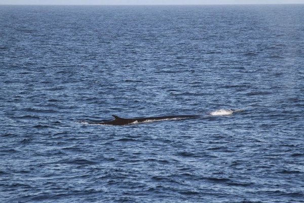 31-ша Українська антарктична експедиція успішно дісталася станції "Академік Вернадський" 57